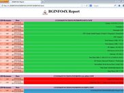 BGINFO4X HTML Report